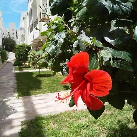 In Paradise Appart Sousse Exterior photo